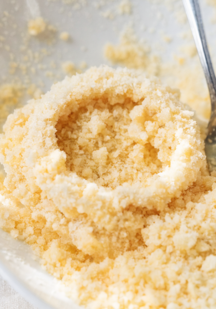 Air Fryer Onion Rings